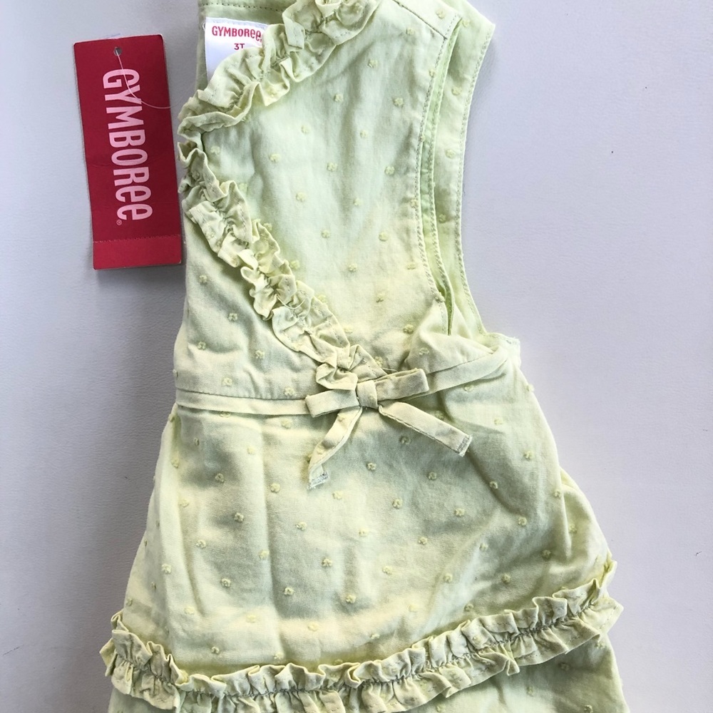NWT Gymboree Garden Bloom Dotted Ruffle Dress 3T
